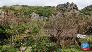 沖縄本島*最北端の聖地でした