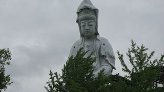 やさしいお顔立ちです