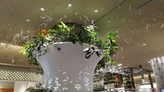 立地もいいが、イルミネーションも見られてお得