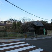 綺麗に手入れのされた庭園が美しいです。