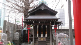 コインパーキングに挟まれて窮屈そうです。