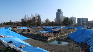 【静岡】発掘調査中の天守台が良かった