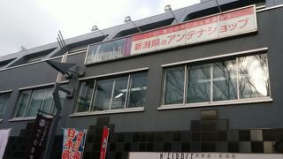 食楽園で新潟の味を堪能