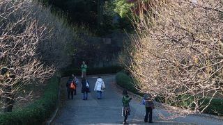 早春以外は行く必要なし