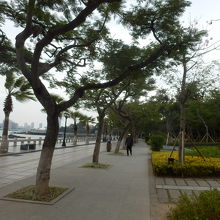 海岸沿いは散歩道