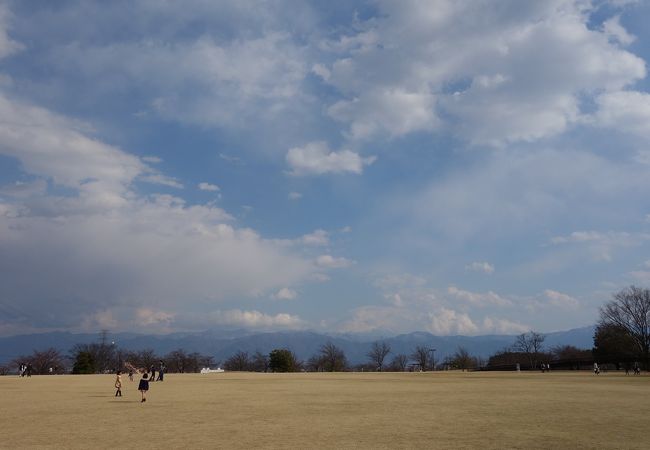 赤坂台総合公園