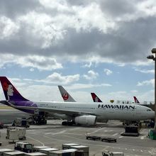 綺麗な飛行機です