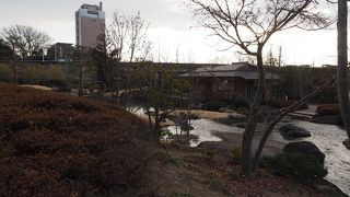 広々としています