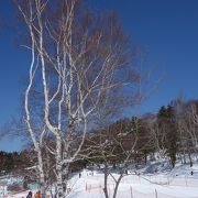 雪遊びデビューに