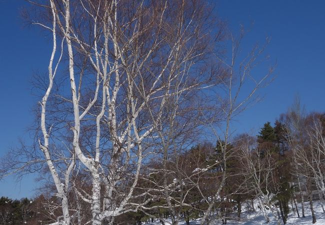 雪遊びデビューに