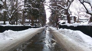 雪景色も綺麗でしたが…