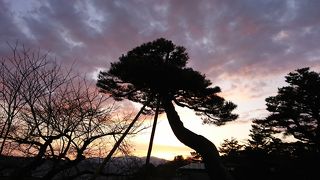 早朝の兼六園がおすすめ。