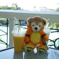 マンゴージュースがどこでも買えました！