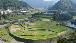 面白い風景です