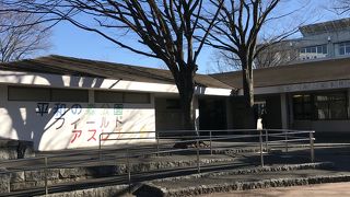 アスレチックは楽しめる