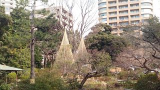 都会の中の日本庭園（無料）