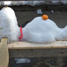 大雪後にこんなもんが、、、