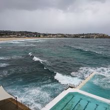 曇りでしたが、こんな日にもプールで泳いでいる人が・・・