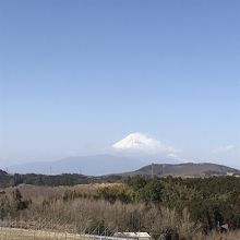 富士山サイコー
