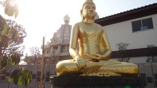 金ピカの釈迦如来像