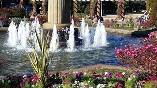 海風強かったです