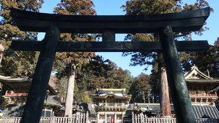 朝一番がオススメです ♪