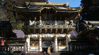 朝陽を浴びて光輝いていました ♪