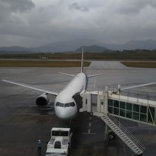 展望台からの景色