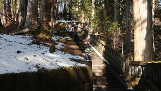 杉並木を歩いて行きます。