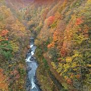 渓谷に掛かる橋の紅葉が綺麗です