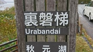 紅葉の季節にはとても綺麗