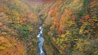 渓谷に掛かる橋の紅葉が綺麗です