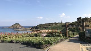 気分転換に散歩よし