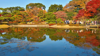 池に映り込む紅葉