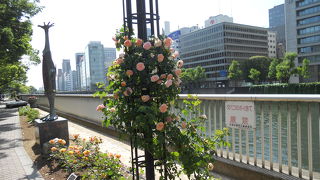 のんびり散策にぴったり♪