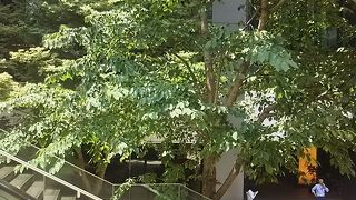 地下鉄の銀座線の京橋駅に直結