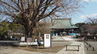 駅伝名所の坂の隣のお寺