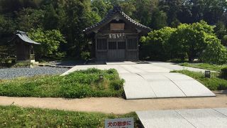 草原の中にひょっこり