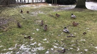 暖かい時期に訪れたい