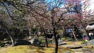 にぎわっていました