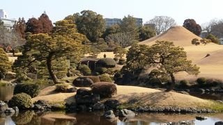 思うより趣きのあるお庭