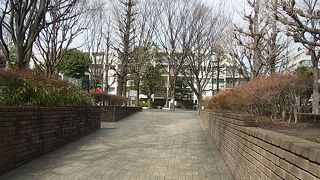 住宅街の中にあります