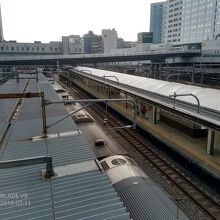 ペンギン公園テラスから