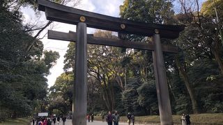 すがすがしくて立派な自然公園