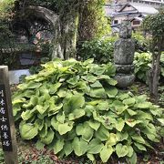 有馬温泉街ブラ:善福寺