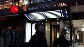 国産の白磁が揃っていました