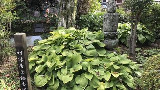 有馬温泉街ブラ:善福寺