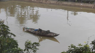 しっかり漁をしてました