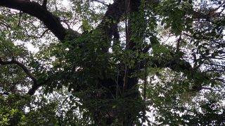 パワースポット