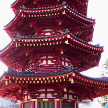 見上げるとかなり高く見えます